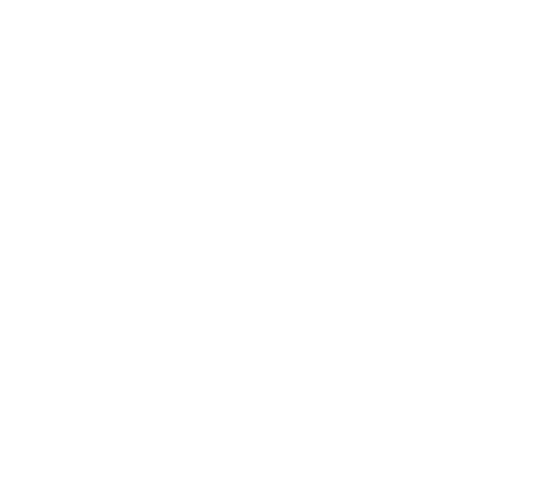 logo breakdown for project Zappic